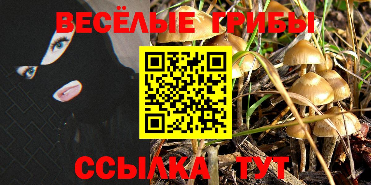  COCAIN Муравленко