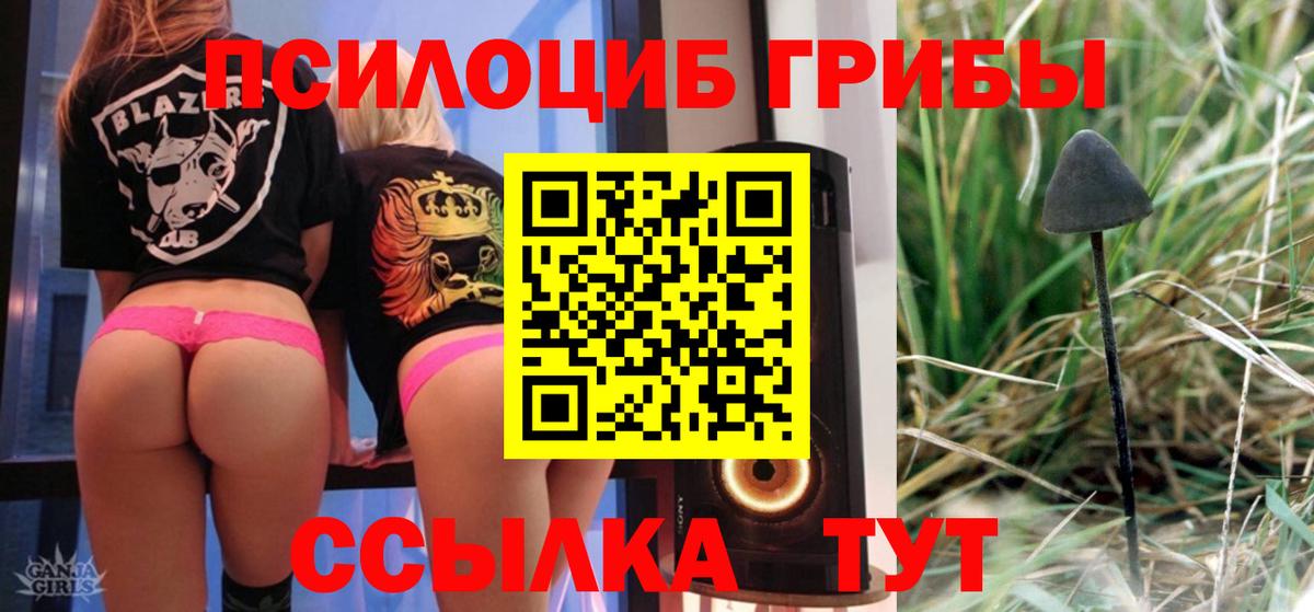 Галлюциногенные грибы Cubensis  Вход с VPN  Муравленко 